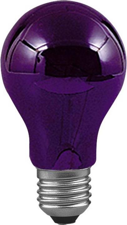 Image du produit Paulmann Lampe universelle lumière noire (E27, 75 W, 105 lm, 1 x)