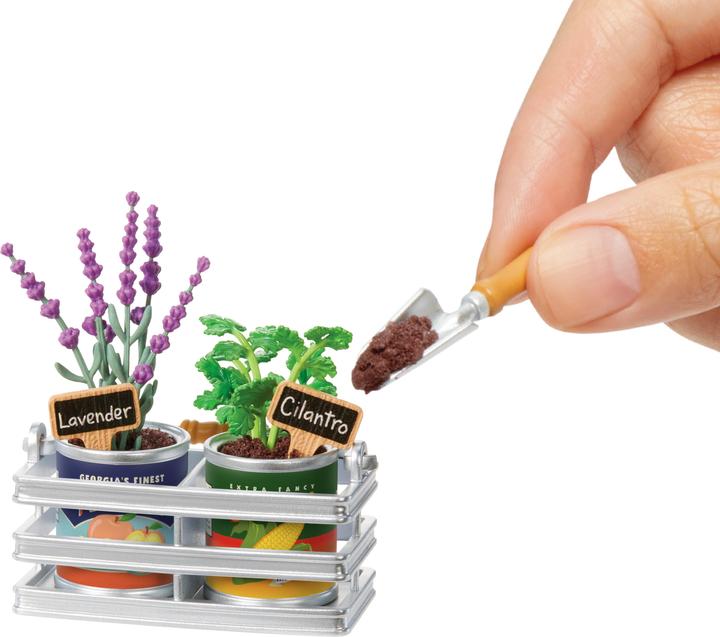Produktbild MGA Miniverse-Pflanze