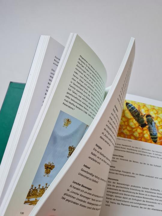 Actual product image Honig für Kunst &amp Gesellschaft (German, Joseph Beuys, Felix Droese, Hartmut Kraft, Hede Buhl, 2024)