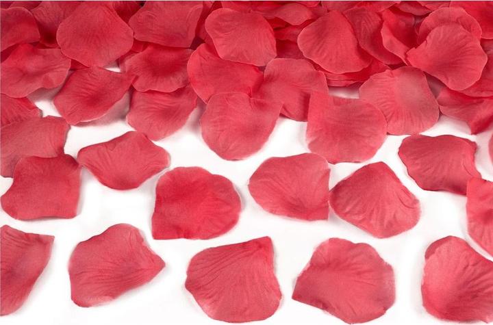 Actual product image Partydeco Confetti Cannon - 60cm - Rose Petals - Red