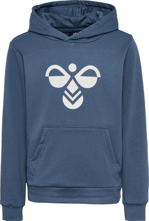 Actual product image hummel hmlCUATRO HOODIE (104)