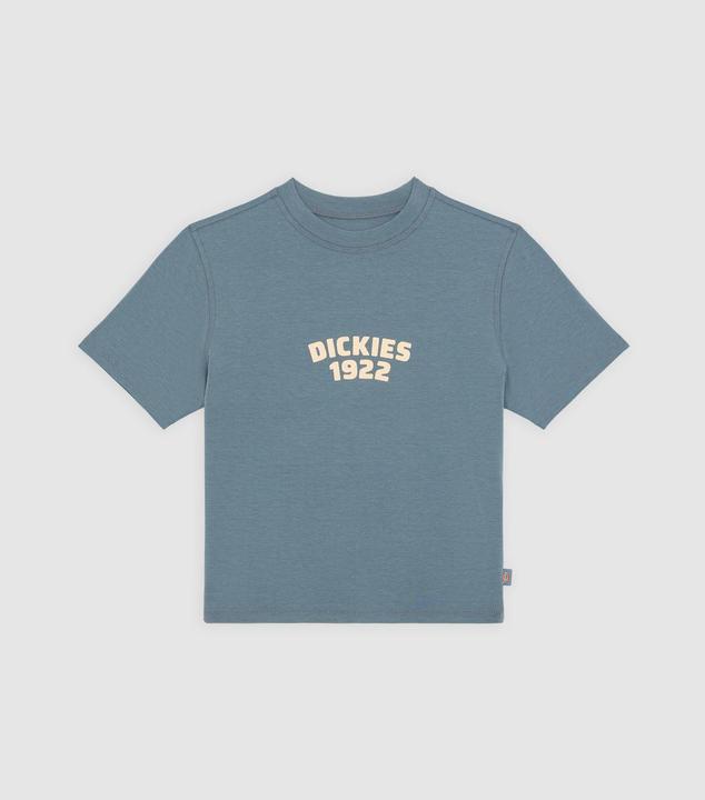Dickies Center Logo Ss Tee W Stormy Weather (M)