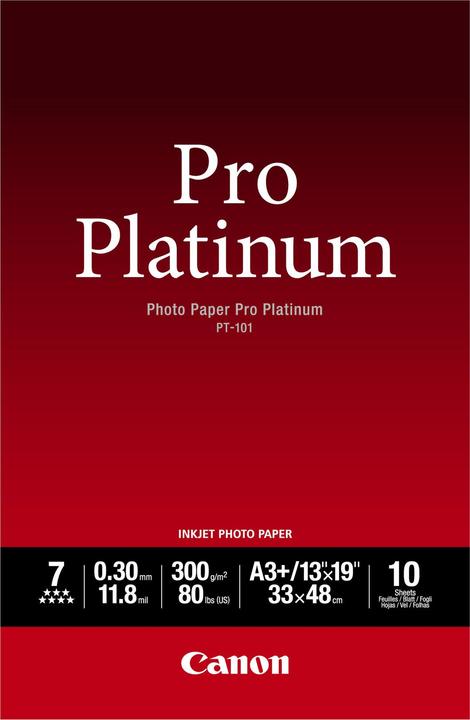 Canon PT-101 Pro Platinum (300 g/m², A3+, 10 x)
