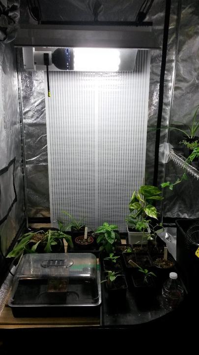 Produktbild Holos Heizfolie ultra-flat 500 Watt