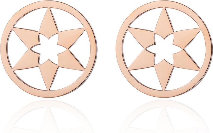 Actual product image Ailoria Ohrringe (Stainless steel)