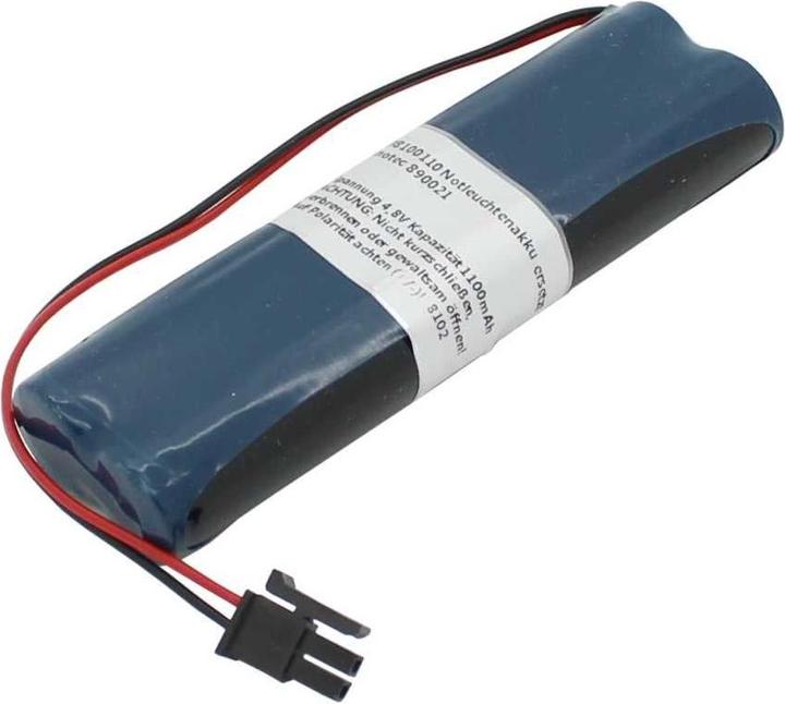 XCell Batteria per luce di emergenza NiMH 4,8V 1100mAh L2x2 Mignon AA con cavo e spina da 150 mm (1100 mAh, Batteria + Caricabatterie)