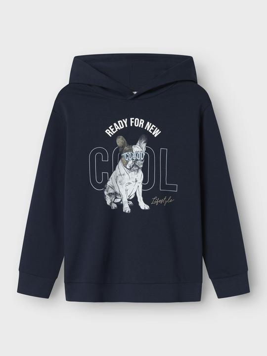 Image du produit Name it Regular Fit Hoodie (116)