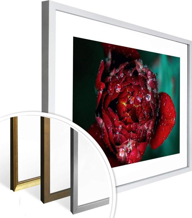 Image du produit Trenddeko Pivoine après la pluie (30 x 24 cm)