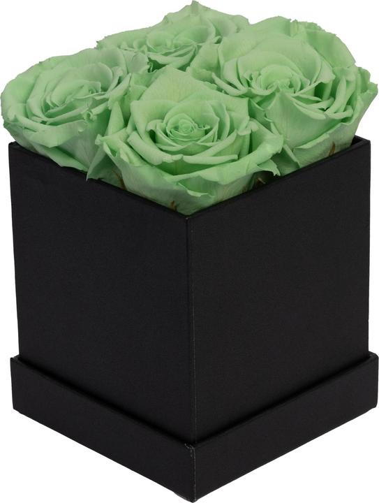 Migros Ostschweiz Premium roses (stabilised roses) in a cube (Infinity Flowers)