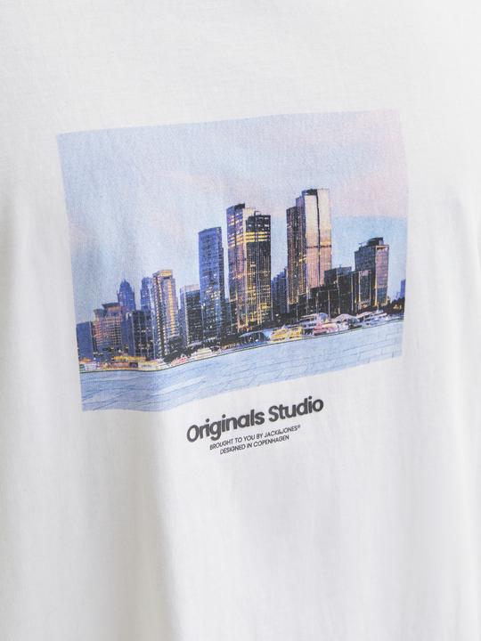 Actual product image Jack & Jones Jorvesterbro Picture Tee Ss Crew Neck Sn (XS)