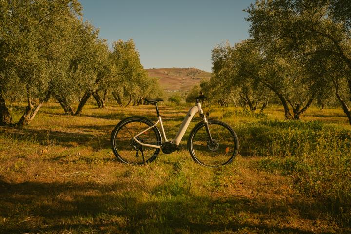 Image du produit Rockrider E-Bike SUV Trekking 28 pouces e-actv 500 LF entrée basse Yamaha beige