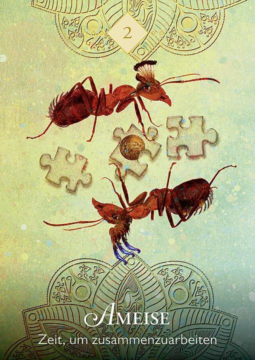 Produktbild Das Orakel der Krafttiere (Deutsch, Jena DellaGrottaglia, Horst Kappen, Colette Baron-Reid, 2019)