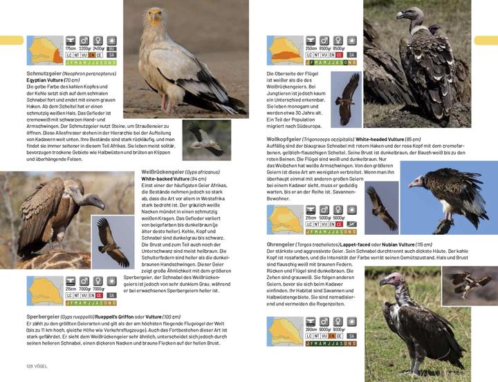 Image du produit Afrika Safari Media Safari-Reiseführer Gambia & Senegal (Allemand, Ruud Troost, 2020)