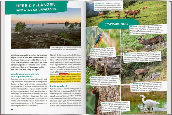 Immagine prodotto OUTDOOR GUIDE Reiseführer Chiemgau & Berchtesgadener Land (Tedesco, Andreas Gruhle, 2024)