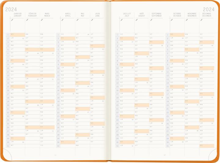 Actual product image Rhodia Webplanner (14.5 x 21.5 cm, English, French)