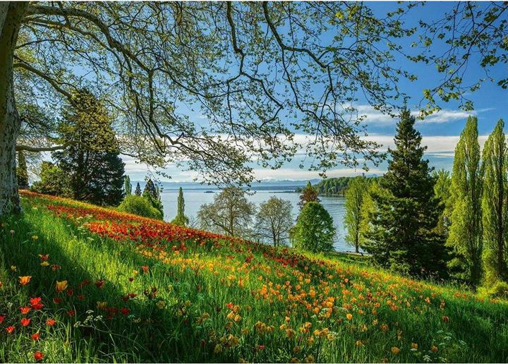 Produktbild Schmidt Spiele Frühlingsallee zur Tulpenblüte Insel Mainau (1000 Teile)