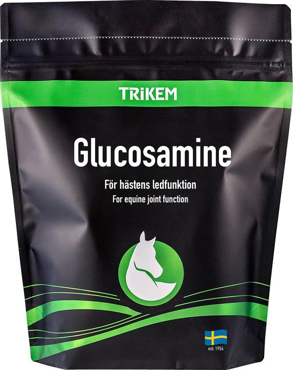 Trikem Glucosamine 500Gr - (822.7260) (1 x, 500 g)