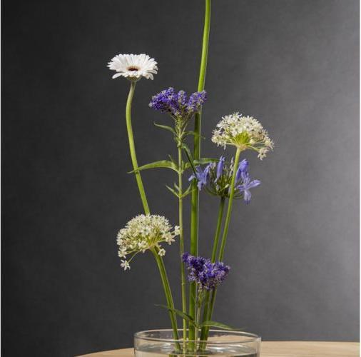 Produktbild Esschert Design Steckigel Kenzan (6.10 cm, 6.10 cm)