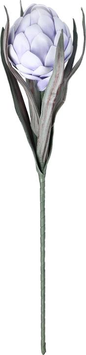 Actual product image EGLO LIVING Molave (15 cm)