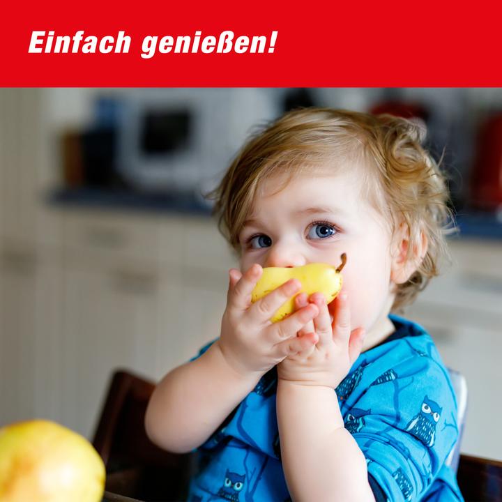 Immagine prodotto Swissinno Fruchtfliegenfalle mit Lebensmittelköder 1er
