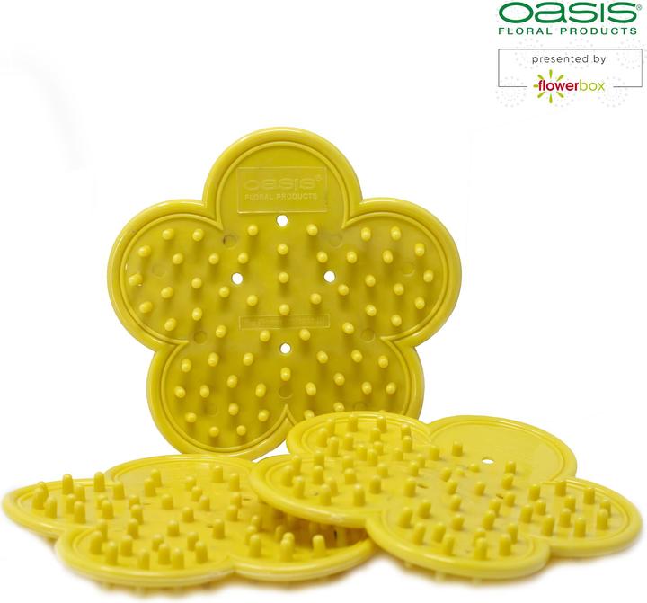 Actual product image Oasis Leaf and thorn remover