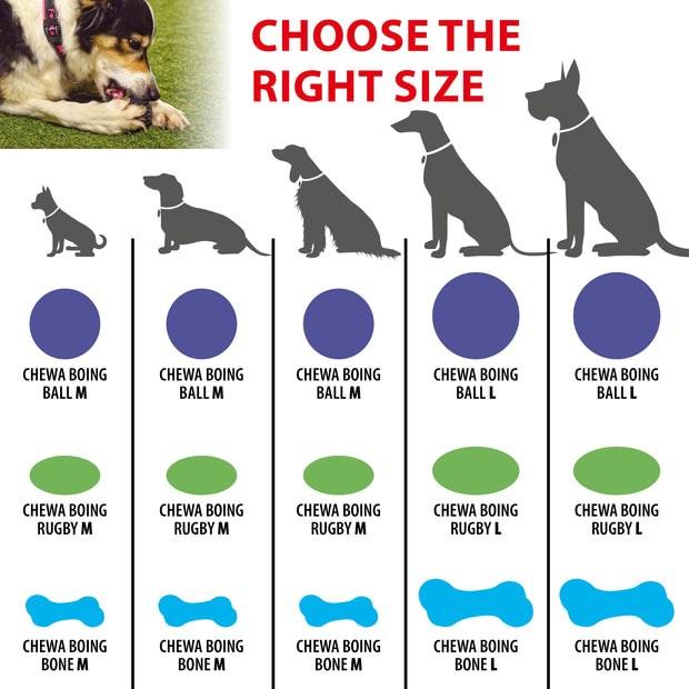 Produktbild Ferplast Chewa boing bone L - Hundespielzeug