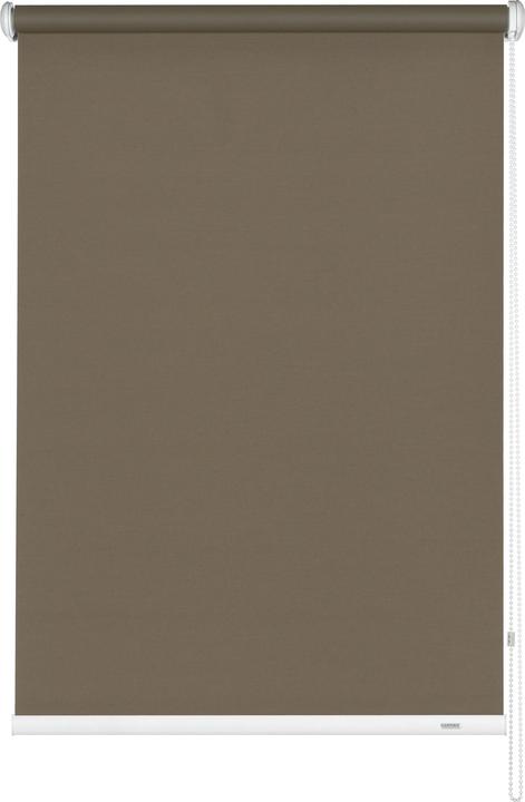 341 mocha
