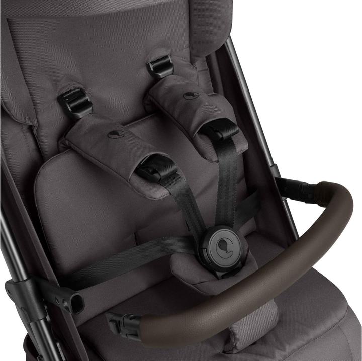 Produktbild ABC Design Ping 3 Trekking Buggy - Reisebuggy ab 6 Monaten bis 22 kg