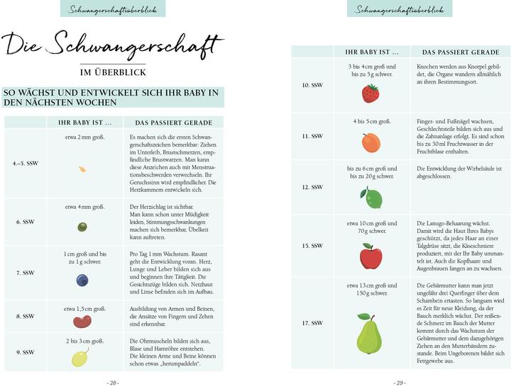 Image du produit Ich werde Mama! Der Schwangerschaftsbegleiter (Allemand, Kerstin Lüking, 2019)