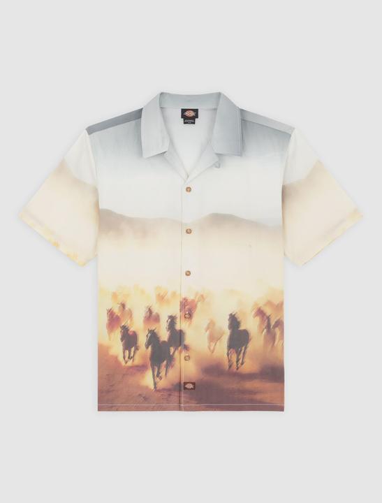 Produktbild Dickies Running Wild Shirt SS (M)