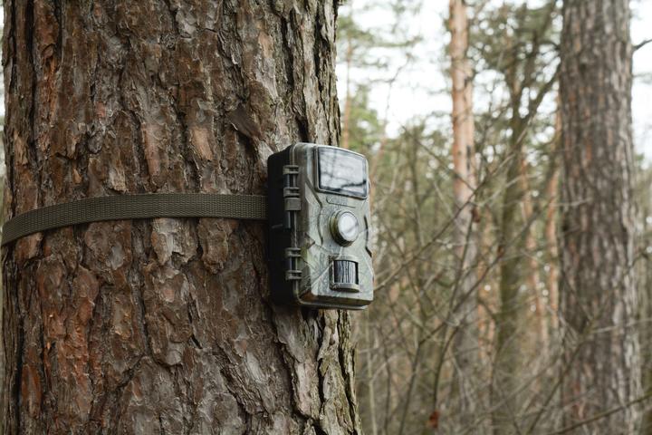 Image du produit Technaxx WILDCAM 1080P TX-256