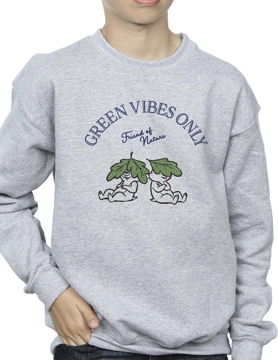 Immagine prodotto Disney Chip 'n Dale Green Vibes Only Felpa Ragazzi (104)