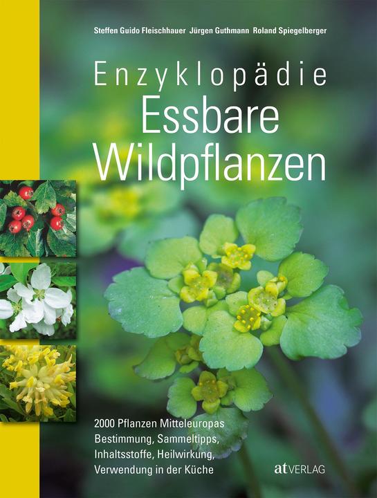 Produktbild Enzyklopädie Essbare Wildpflanzen (Deutsch, Steffen Guido Fleischhauer, 2013)