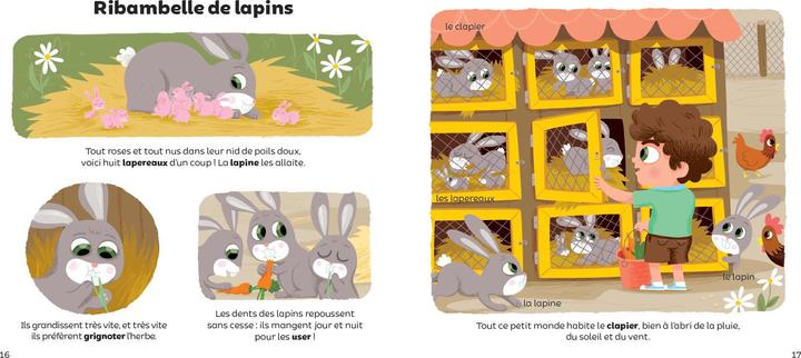 Actual product image Larousse jeunesse La ferme (Bécue Benjamin, Guidoux Valérie, French)