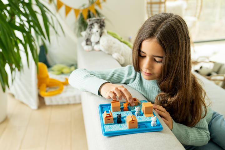 Actual product image Smart Games Cats Boxes (German, French)