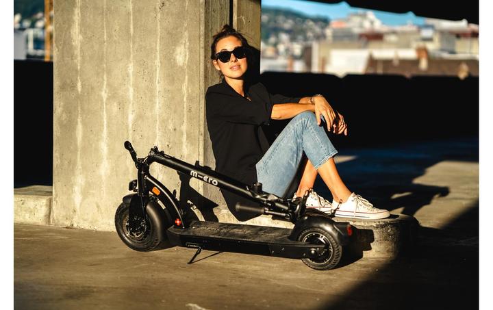 Actual product image Micro Condor II (25 km/h, 25 km, 600 W)