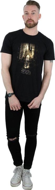 Actual product image Fantastic Beasts Mens Movie Poster T-Shirt (3XL)