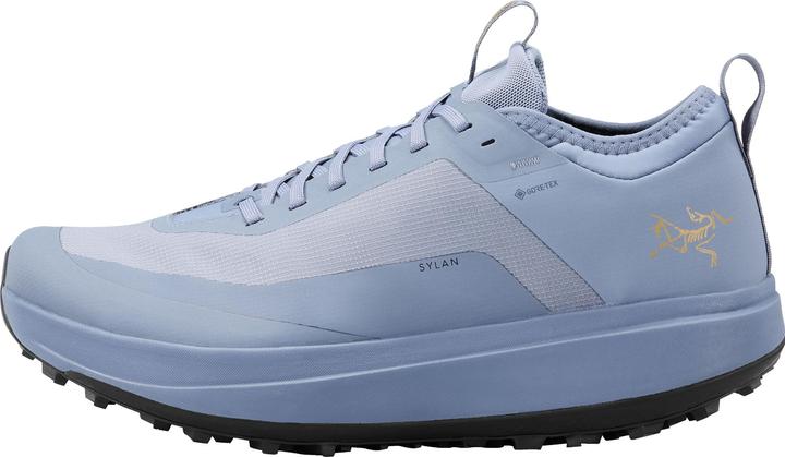 Actual product image Arc'teryx Sylan GTX (45)