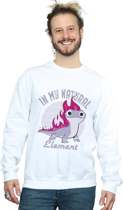Immagine prodotto Disney Frozen 2 Salamander Bruni Element Felpa Uomo (XXL)