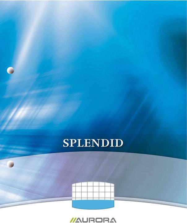 Produktbild Notizbuch AURORA Splendid Geleimt DIN A4 Kariert Papier Farbig sortiert 5 mm (210 x 297 mm, Kariert)