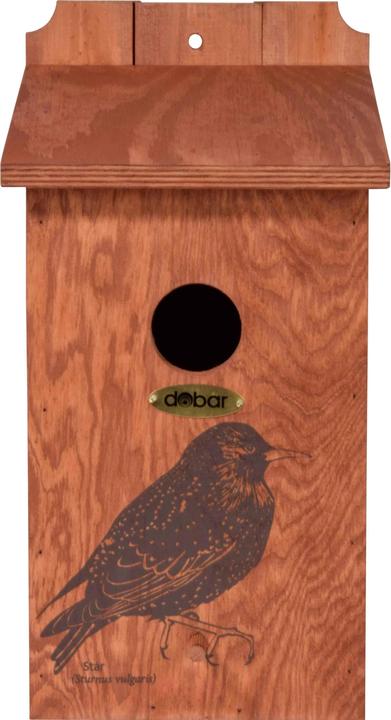 Image du produit Dobar Nichoir avec motif sérigraphié Star 19 x 20 x 38 cm