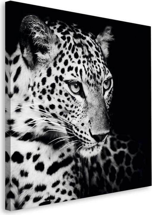 Actual product image Eibert Visual Leopard (40 x 40 cm)