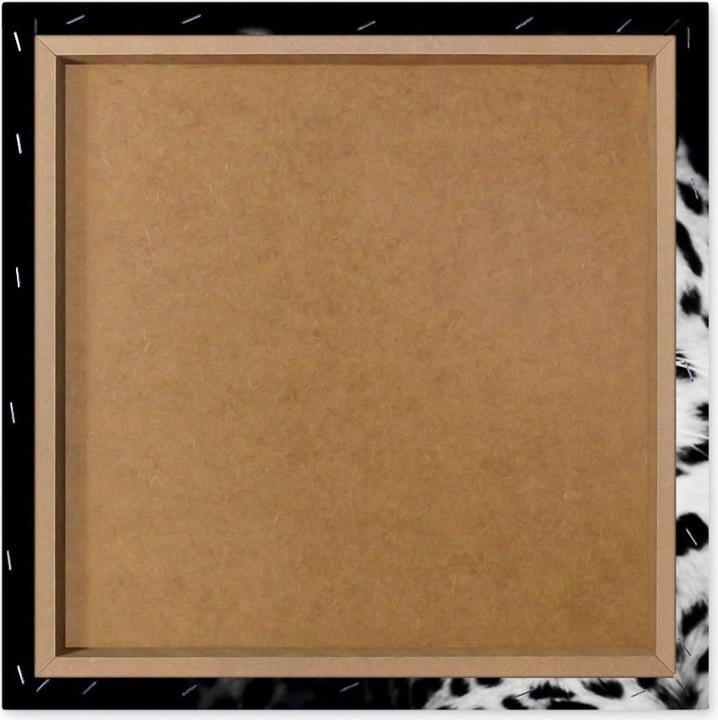Actual product image Eibert Visual Leopard (40 x 40 cm)