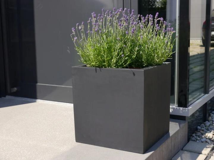 Image du produit Revox Botanic 50 (1 paire, 120 W)