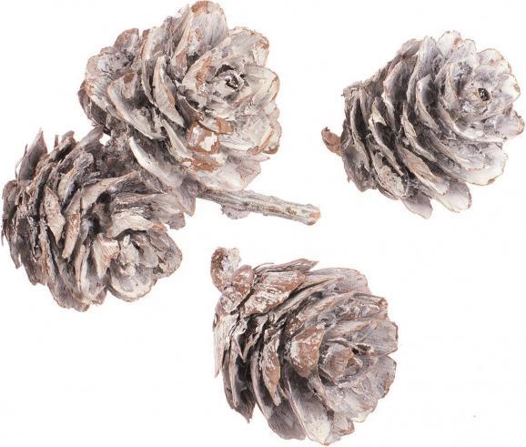 Produktbild Glorex Kiefernzapfen klein 50g