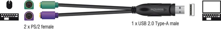 Actual product image Delock USB to PS/2 adapter (0.17 m, PS/2)