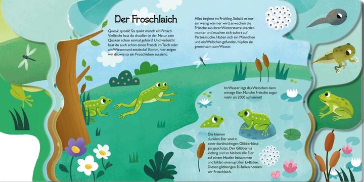 Image du produit Du petit têtard à la grenouille (Allemand)