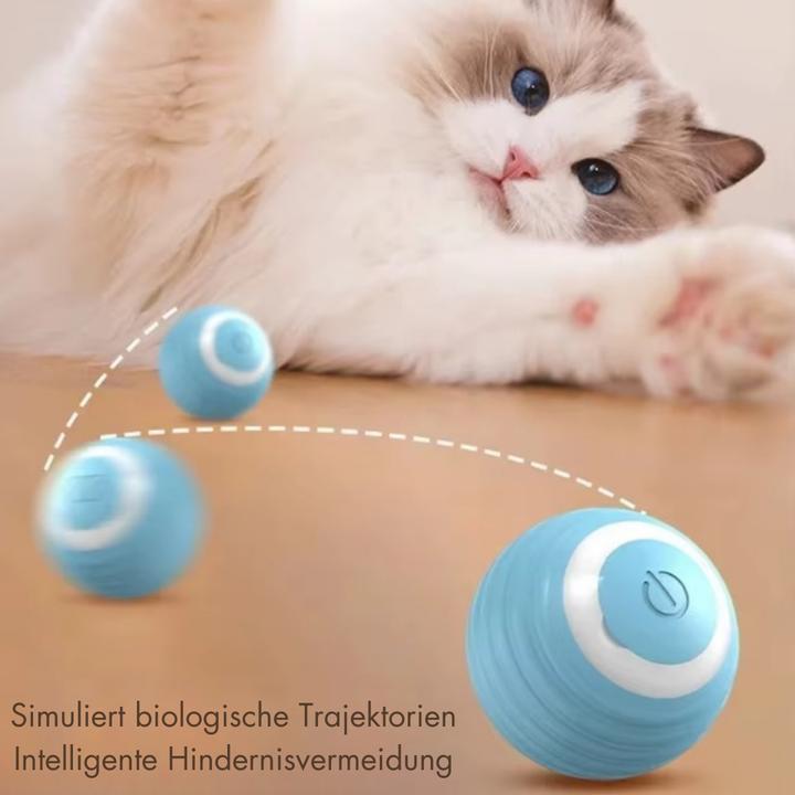 Actual product image Suba Electric cat ball with LED light (Cat ball toy)