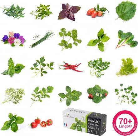 Productafbeelding Véritable Binnentuin aansluiten (18 cm)