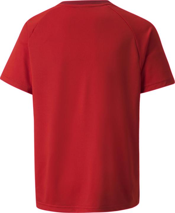 Actual product image Puma teamVISION Jersey Jr-704928 (140)